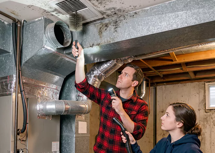 Premier HVAC Mold Remediation Company in Jersey City